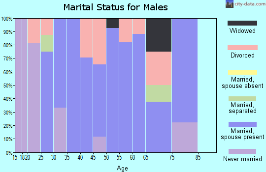 Zip code 73528 marital status for males