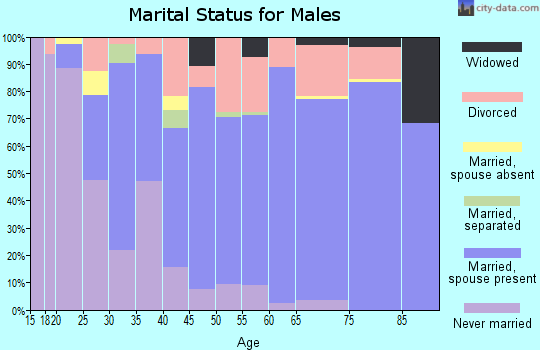 Zip code 73529 marital status for males