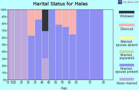 Zip code 73531 marital status for males