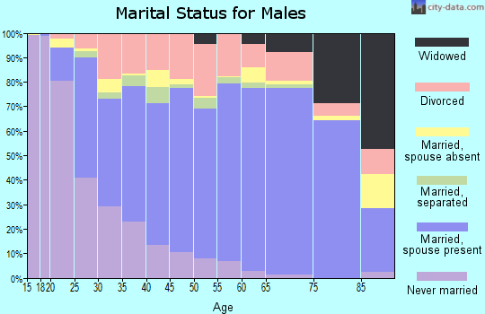 Zip code 73533 marital status for males