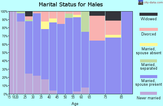 Zip code 73538 marital status for males