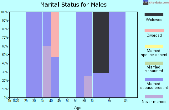 Zip code 73539 marital status for males