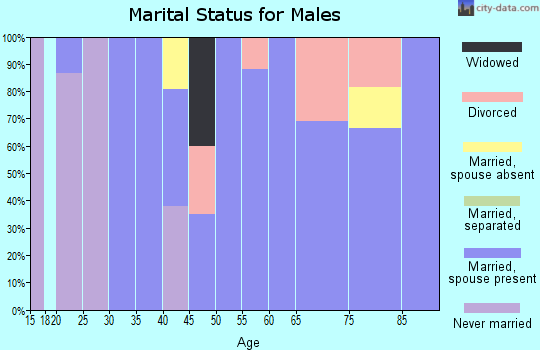 Zip code 73540 marital status for males