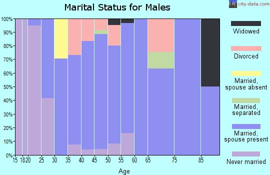 Zip code 73541 marital status for males