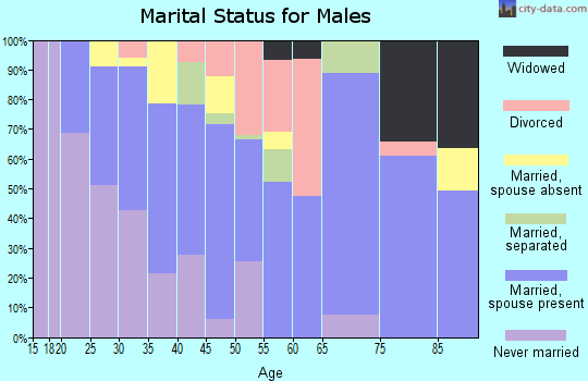 Zip code 73542 marital status for males