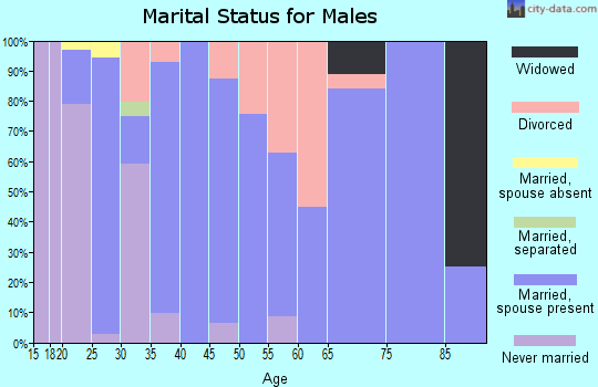 Zip code 73543 marital status for males