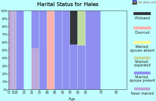 Zip code 73544 marital status for males