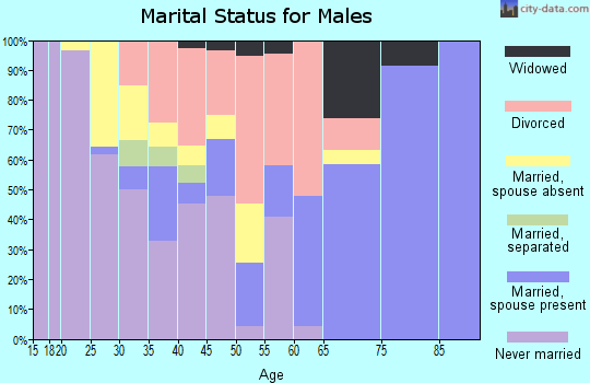Zip code 73547 marital status for males