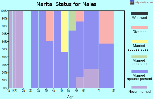 Zip code 73549 marital status for males