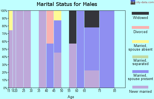 Zip code 73555 marital status for males