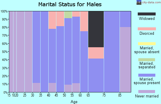 Zip code 73559 marital status for males