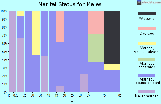 Zip code 73560 marital status for males