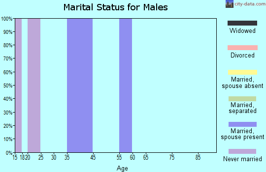 Zip code 73561 marital status for males