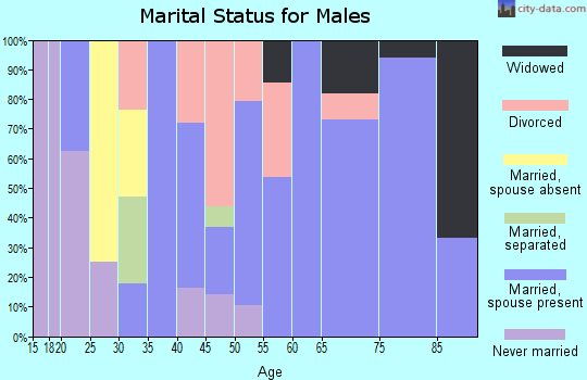Zip code 73562 marital status for males