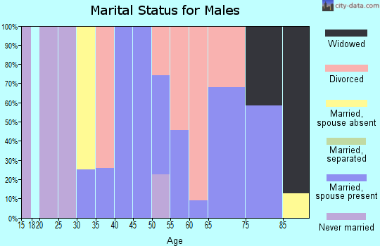 Zip code 73564 marital status for males