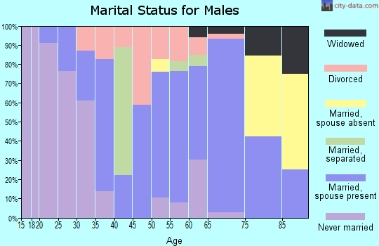 Zip code 73565 marital status for males