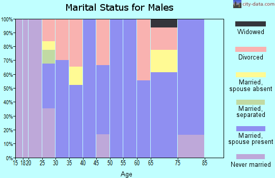 Zip code 73567 marital status for males