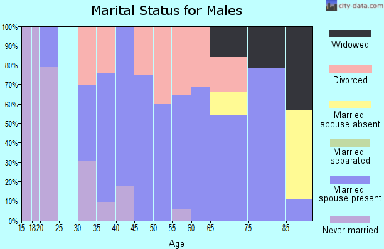 Zip code 73568 marital status for males