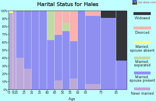 Zip code 73570 marital status for males