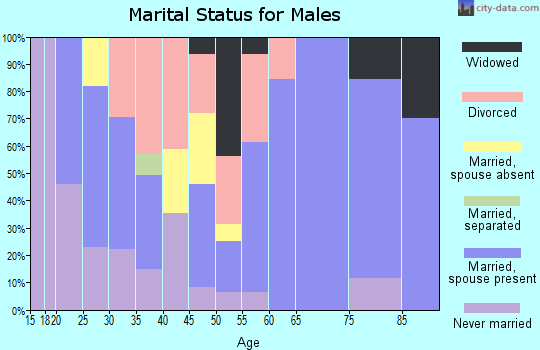 Zip code 73620 marital status for males