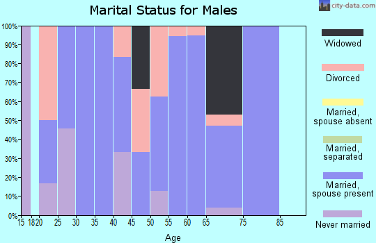 Zip code 73627 marital status for males