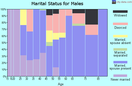 Zip code 73628 marital status for males