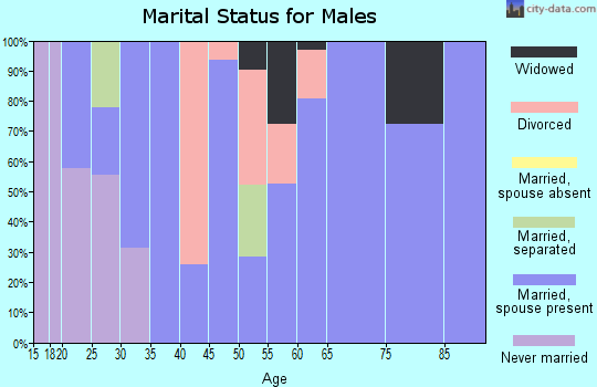 Zip code 73641 marital status for males
