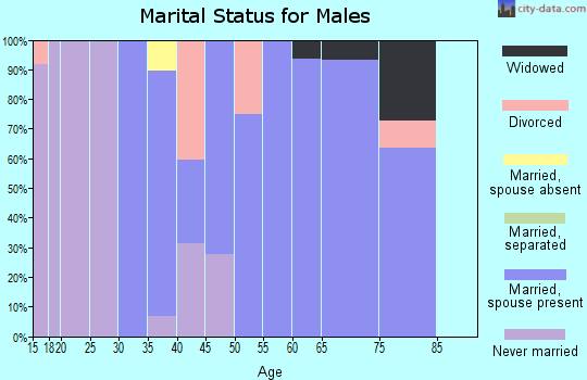 Zip code 73647 marital status for males