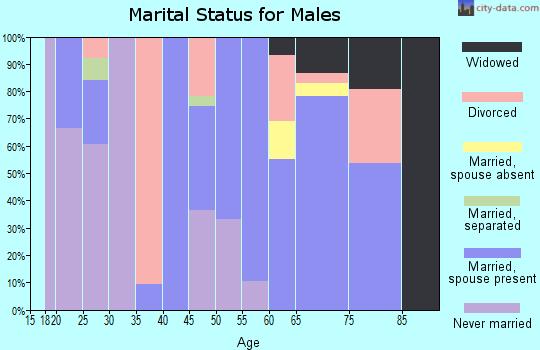 Zip code 73655 marital status for males