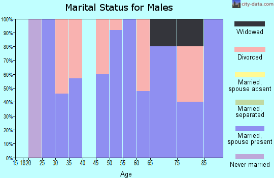 Zip code 73660 marital status for males