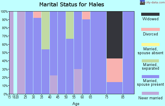 Zip code 73661 marital status for males