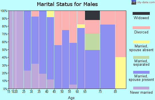 Zip code 73664 marital status for males