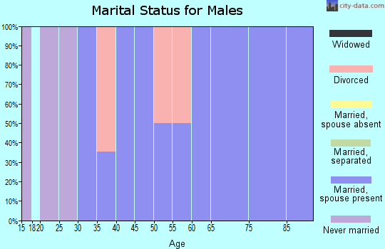 Zip code 73666 marital status for males