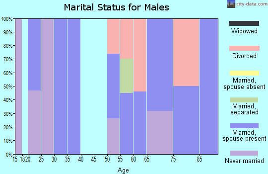 Zip code 73673 marital status for males