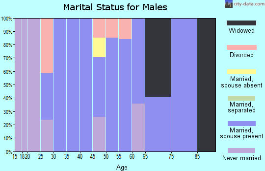 Zip code 73716 marital status for males