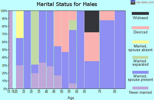 Zip code 73718 marital status for males