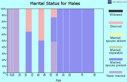 Zip code 73720 marital status for males