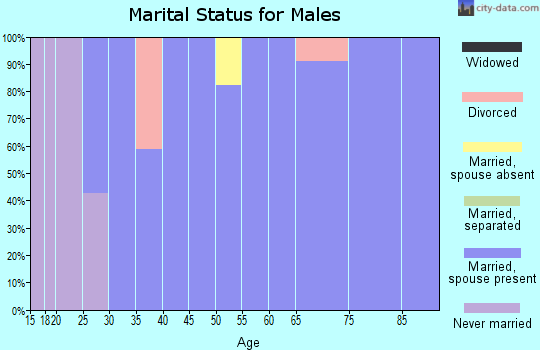 Zip code 73722 marital status for males