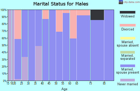 Zip code 73724 marital status for males
