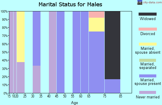 Zip code 73731 marital status for males