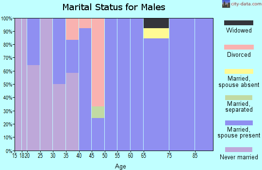 Zip code 73735 marital status for males