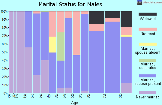 Zip code 73737 marital status for males