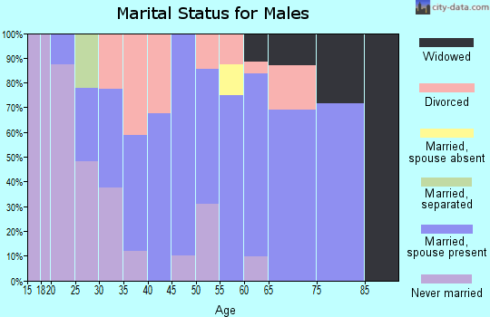 Zip code 73738 marital status for males