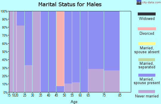 Zip code 73739 marital status for males