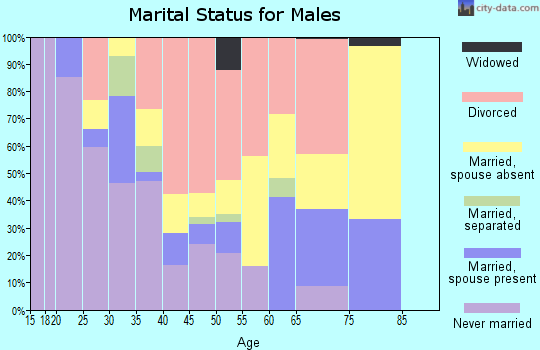 Zip code 73741 marital status for males