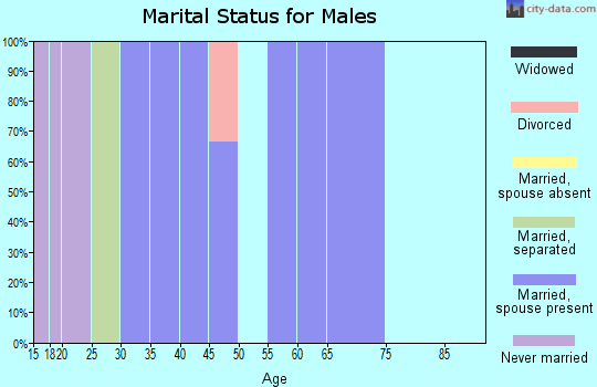 Zip code 73743 marital status for males