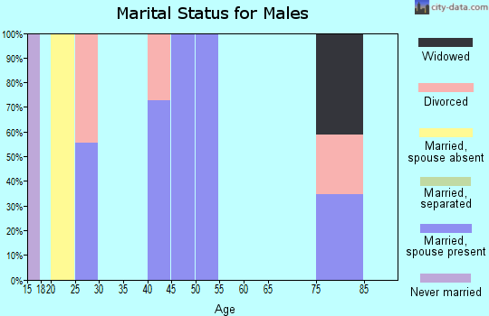 Zip code 73747 marital status for males