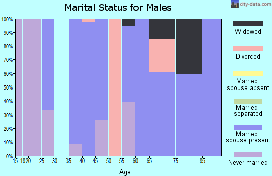 Zip code 73755 marital status for males