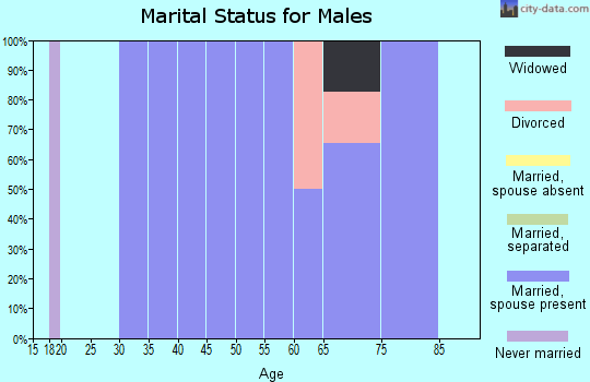 Zip code 73756 marital status for males