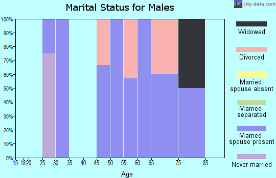 Zip code 73758 marital status for males